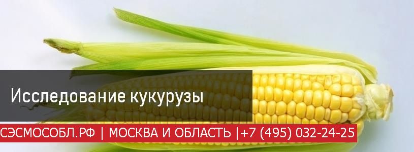 Анализ кукурузы