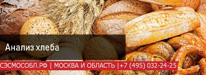 хлеб проверка качества